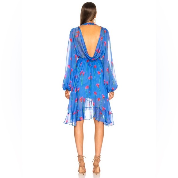 Caroline constas Olivia mini dress - Picture 3 of 4